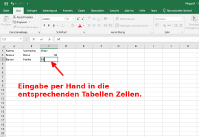 Eingabe per Hand in die entsprechenden Tabellenzellen der Tabellenkalkulation